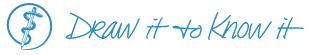 Neuroanatomy: Draw It To Know It Logo